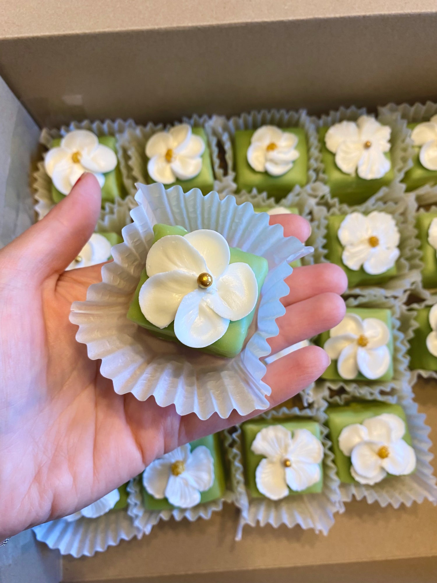 IMG_8778.HEIC__PID:60c66031-be63-4e60-a982-e2267628d7d2